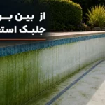 از بین بردن جلبک استخر و علت جلبک زدن