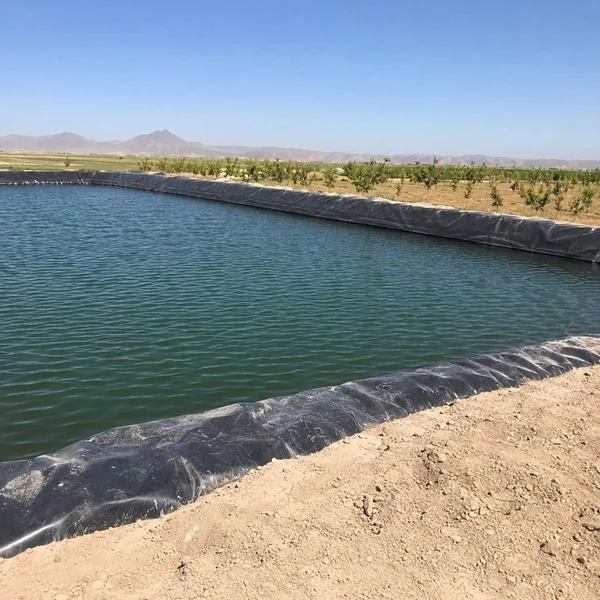 استخر روباز